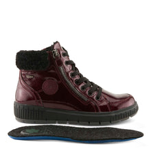 Load image into Gallery viewer, ALPS-BXP