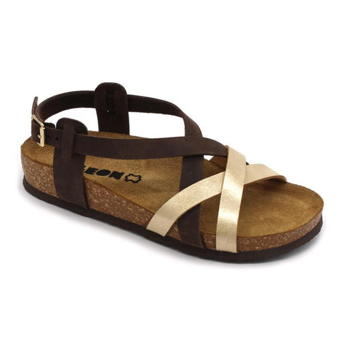 K-4305  BRAON LEON