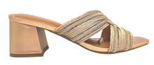 Load image into Gallery viewer, PA434 CHAMP