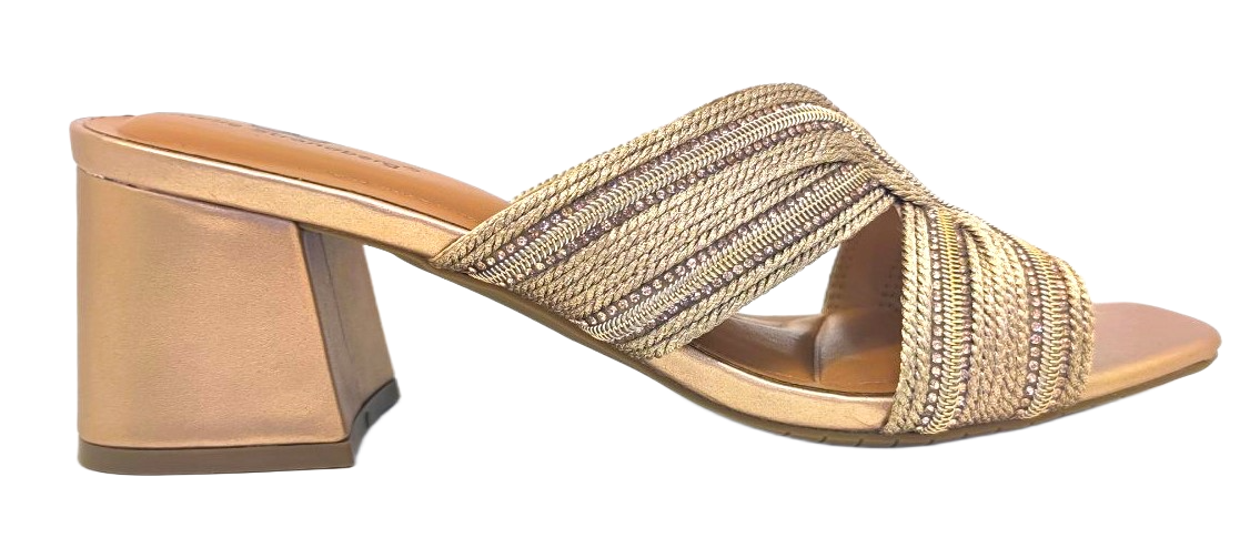 PA434 CHAMP