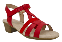 Load image into Gallery viewer, N333-3